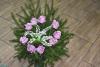 dsc_0731_t1.jpg