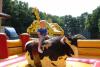 img_4551_t1.jpg