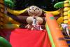 img_4570_t1.jpg