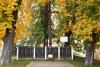 dsc_0453_t1.jpg
