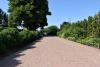 dsc_0997_t1.jpg