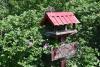 dsc_0310_t1.jpg