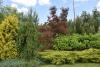 dsc_0236_t1.jpg