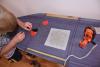 dsc_0900_t1.jpg
