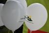 dsc_0190_t1.jpg
