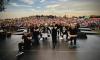 dsc_0390_t1.jpg