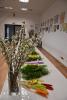 dsc_0124_t1.jpg