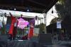 dsc_1170_t1.jpg