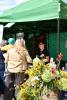 dsc_0061_t1.jpg