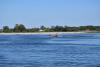 dsc_3388_t1.jpg