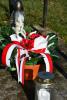 dsc_6825_t1.jpg